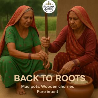 Back to Our Roots – The Bilona WayIn a world of machines, we’re keeping traditions alive.Our A2